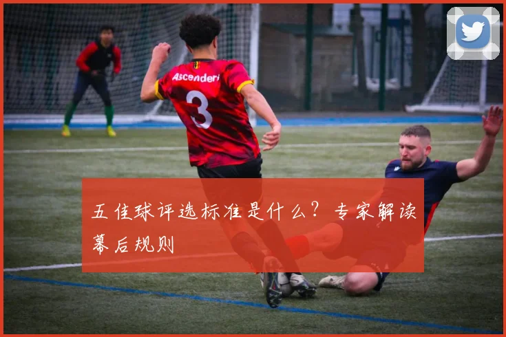 五佳球评选标准是什么?专家解读幕后规则